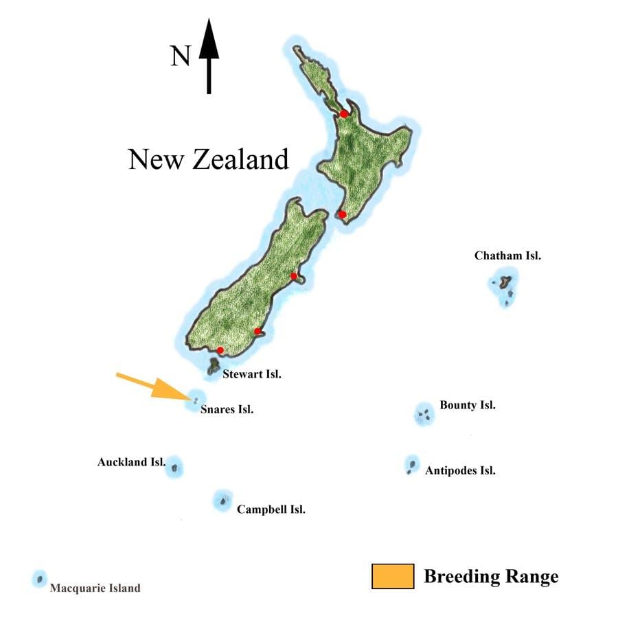 Mapa de nova celandia e illas veciñas